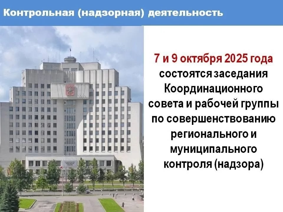 Контрольная (надзорная) деятельность.