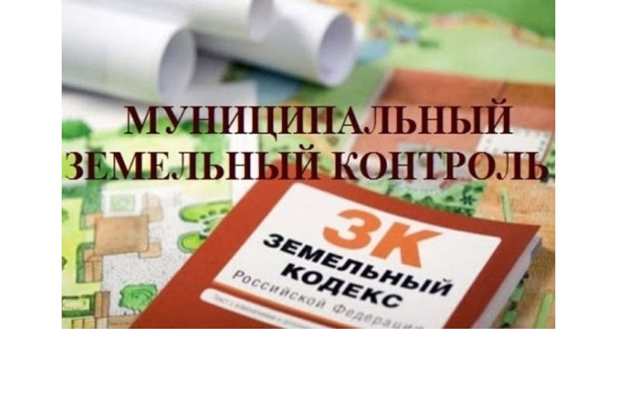 Муниципальный контроль.